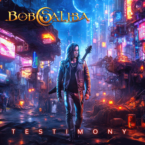 Bob Saliba : Testimony